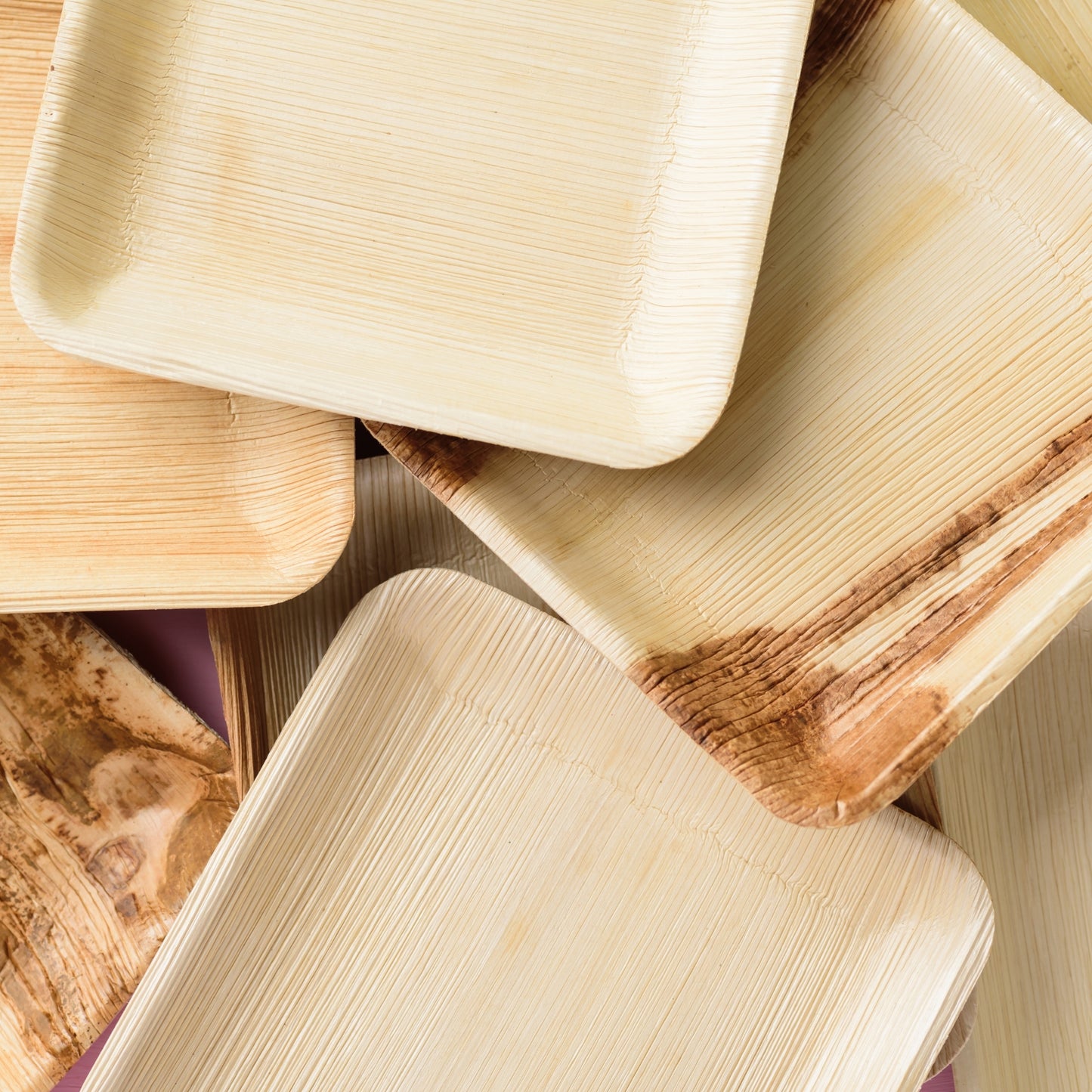 Areca Palm Leaf Plates - 8 Inch Square (200 pcs/box)