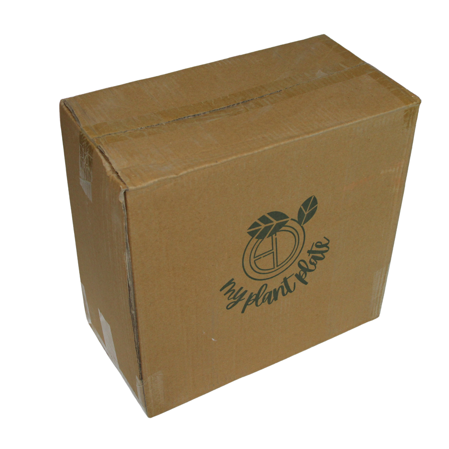 Areca Palm Leaf Plates - 10 Inch Round (200 pcs/box)