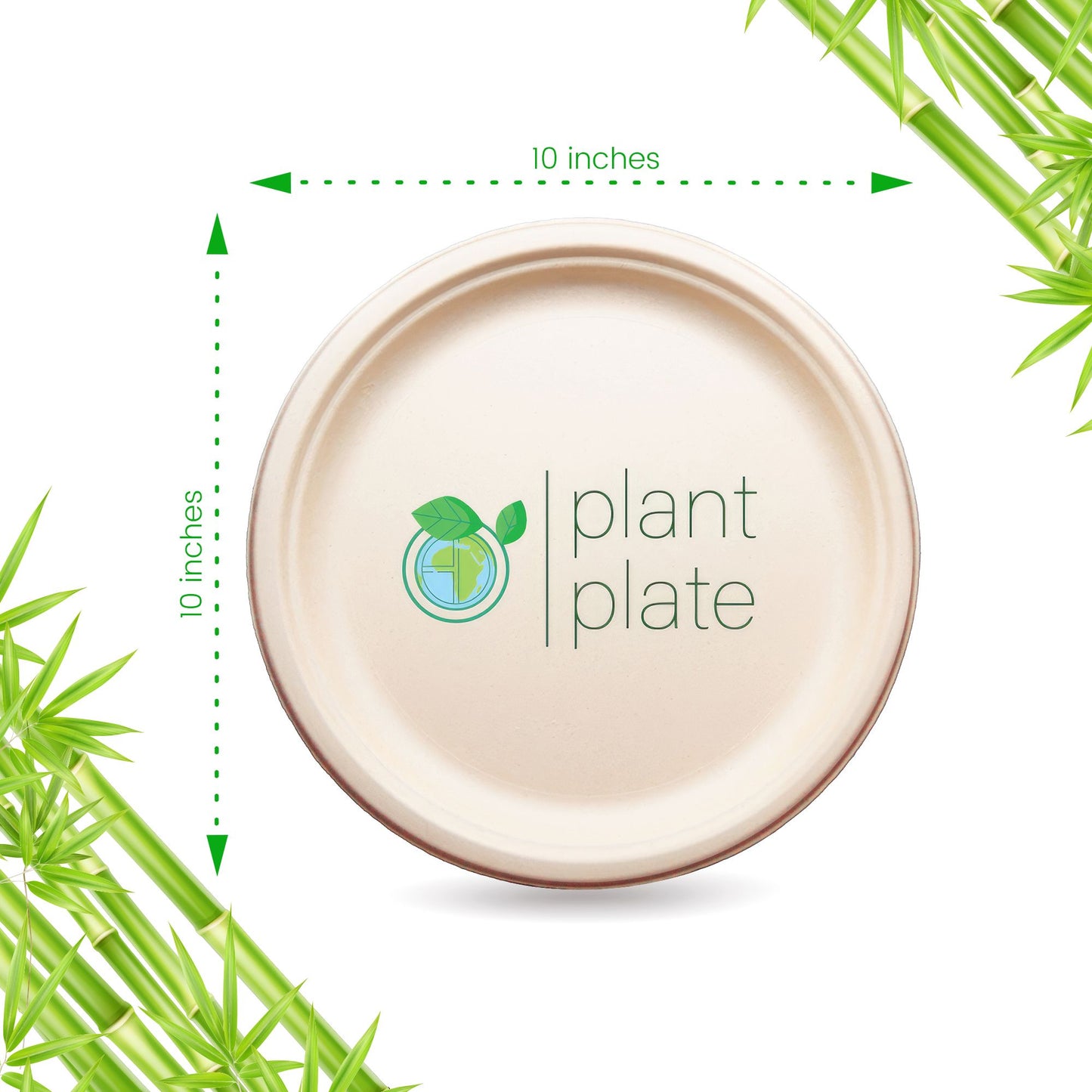 PLT-10 100 CNT NATURAL PLATES