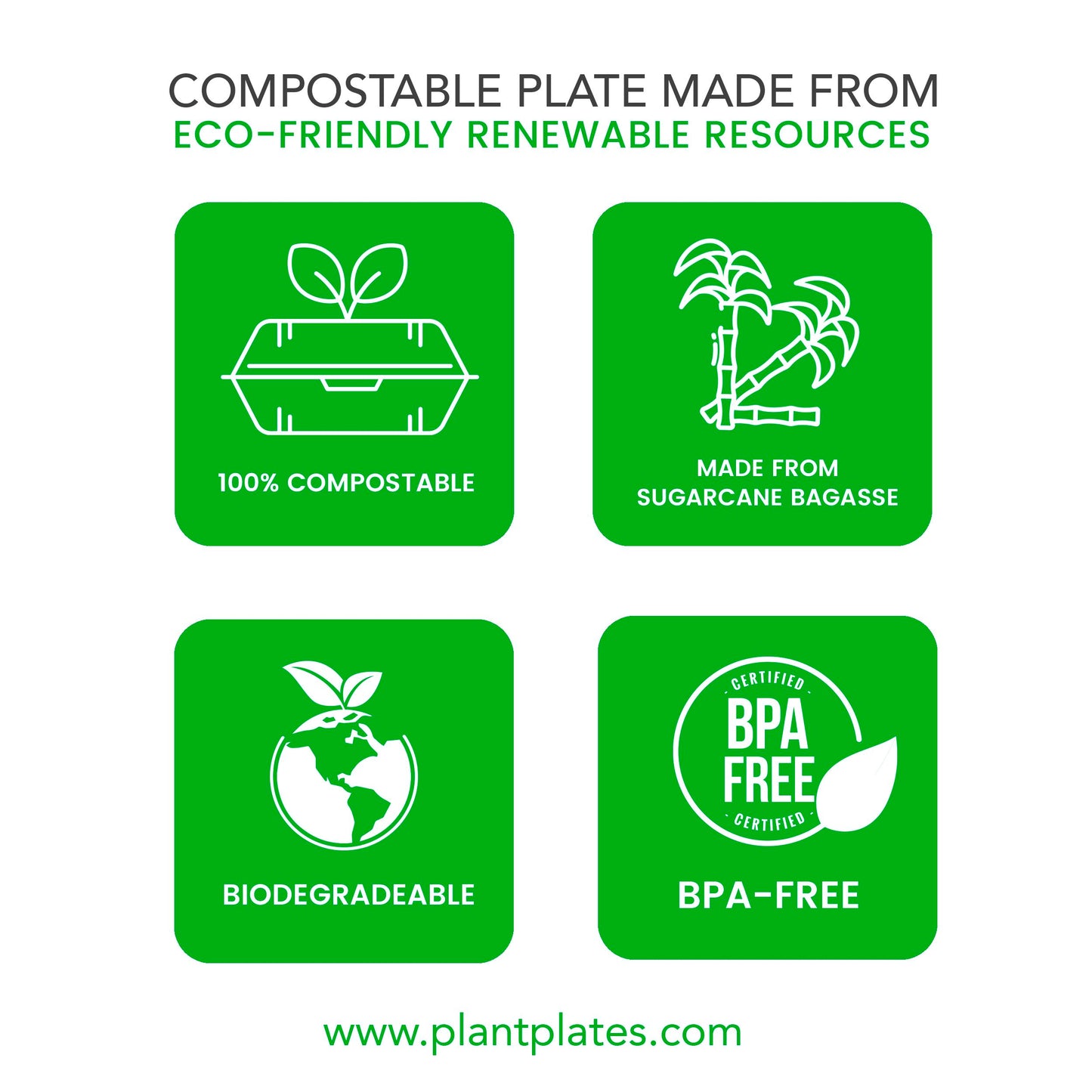 PLT-10 100 CNT NATURAL PLATES