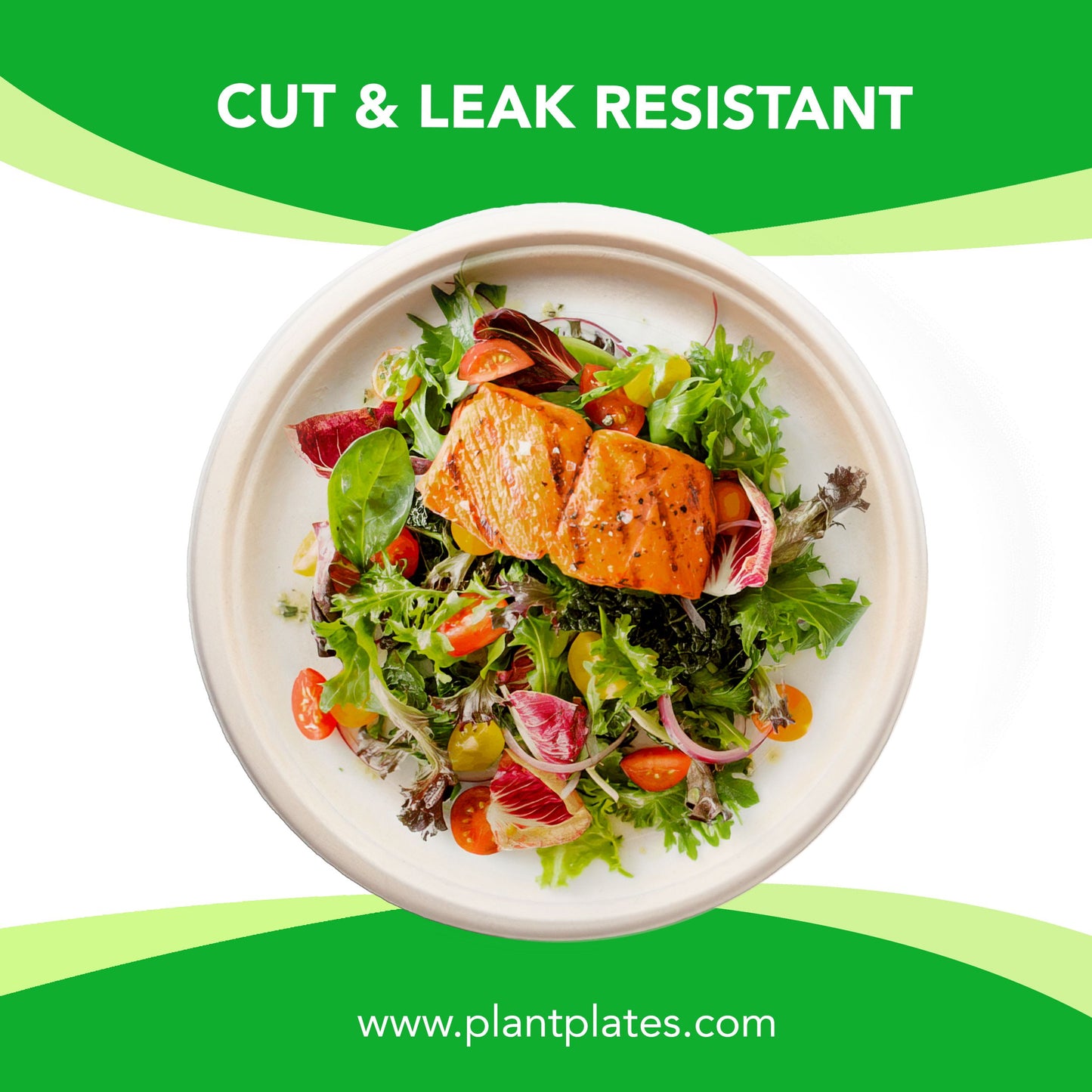 PLT-10 100 CNT NATURAL PLATES