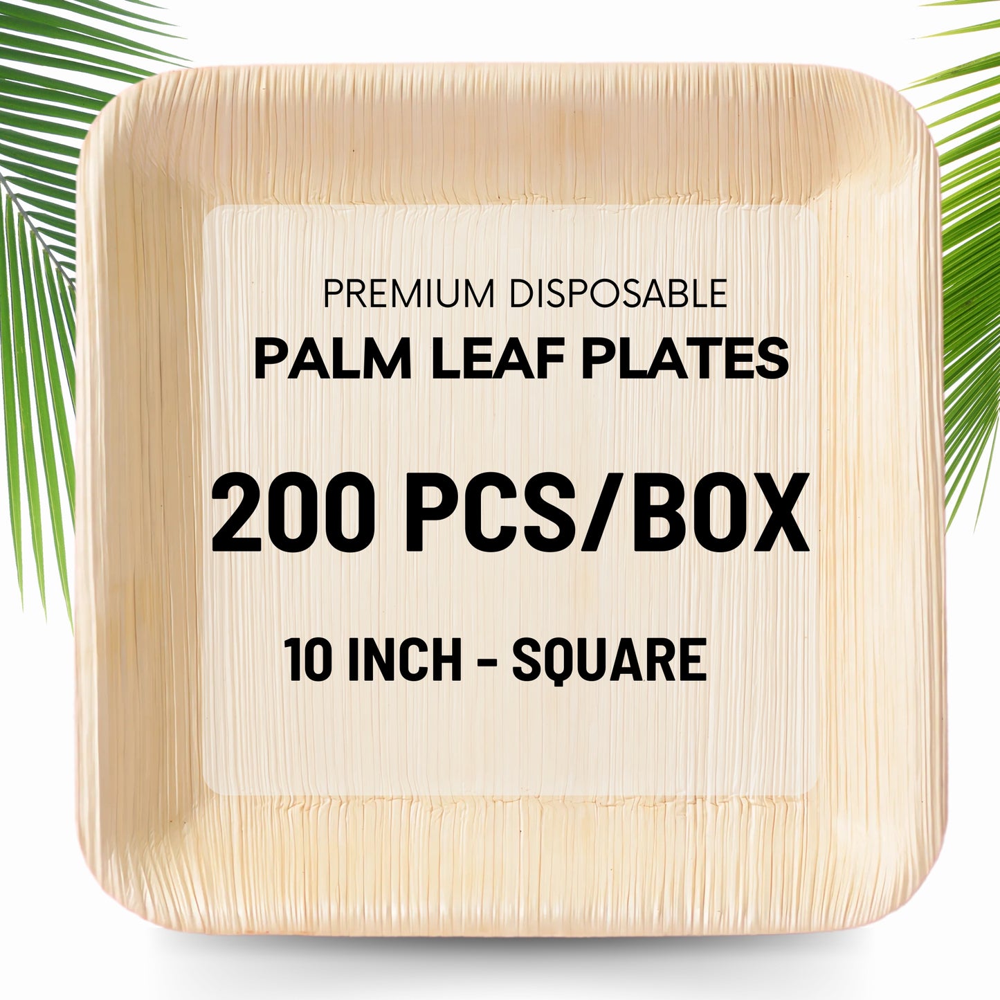 Areca Palm Leaf Plates - 10 Inch Square (200 pcs/box)
