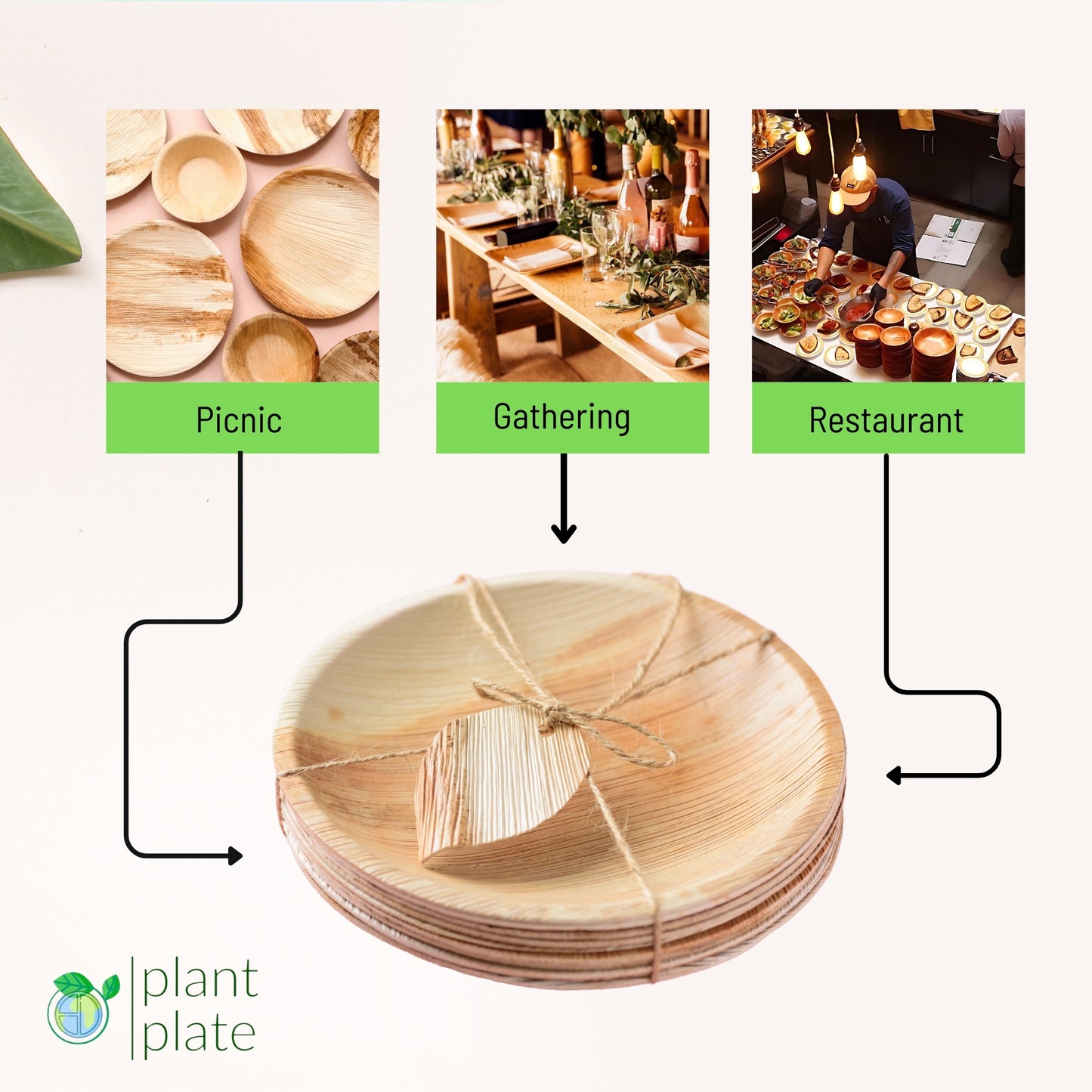 Areca Palm Leaf Plates - 10 Inch Round (200 pcs/box)