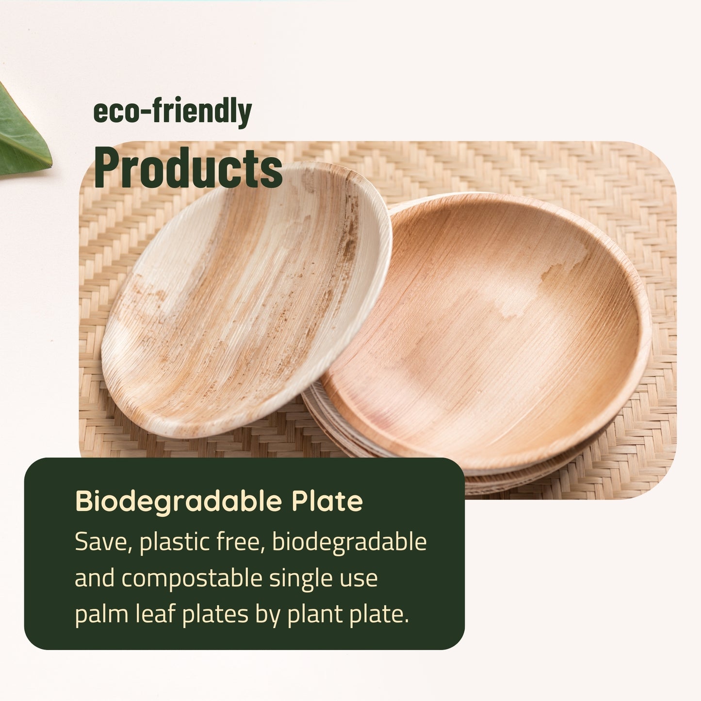 Areca Palm Leaf Plates - 10 Inch Round (200 pcs/box)