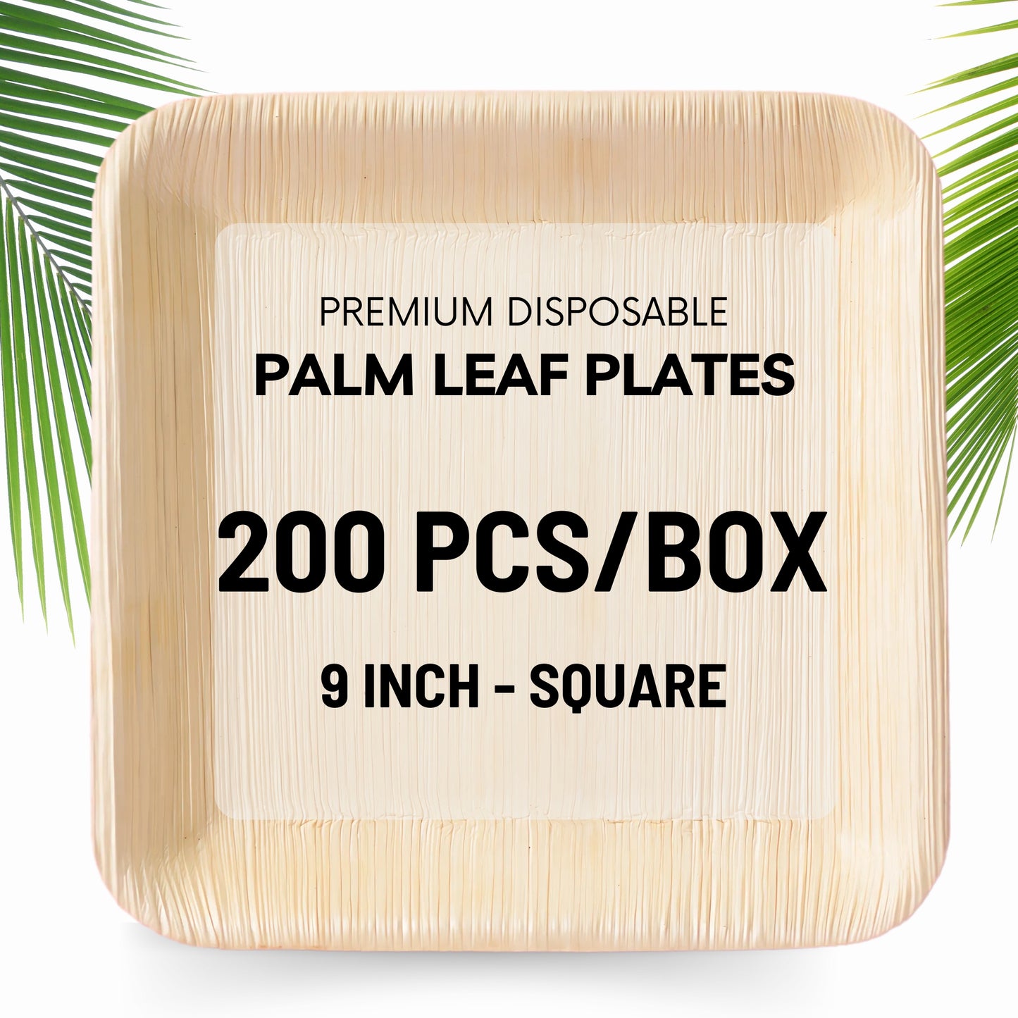 Areca Palm Leaf Plates - 9 Inch Square (200 pcs/box)
