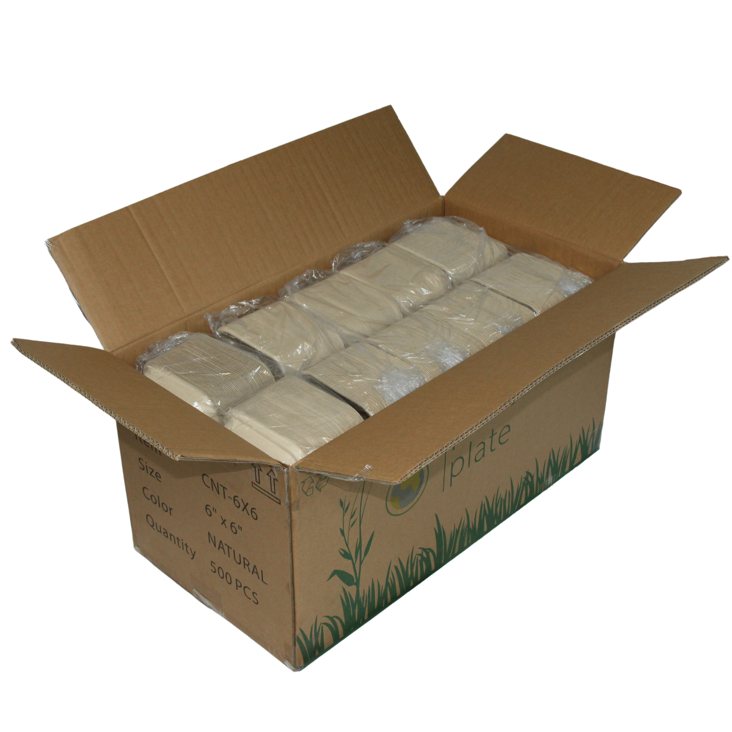 6x6 Clamshell - 500pcs/BOX