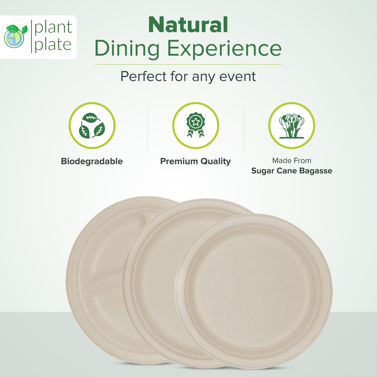 Heavy Duty Compostable Plates - Sustainable Solutions for Household and Kitchen Use