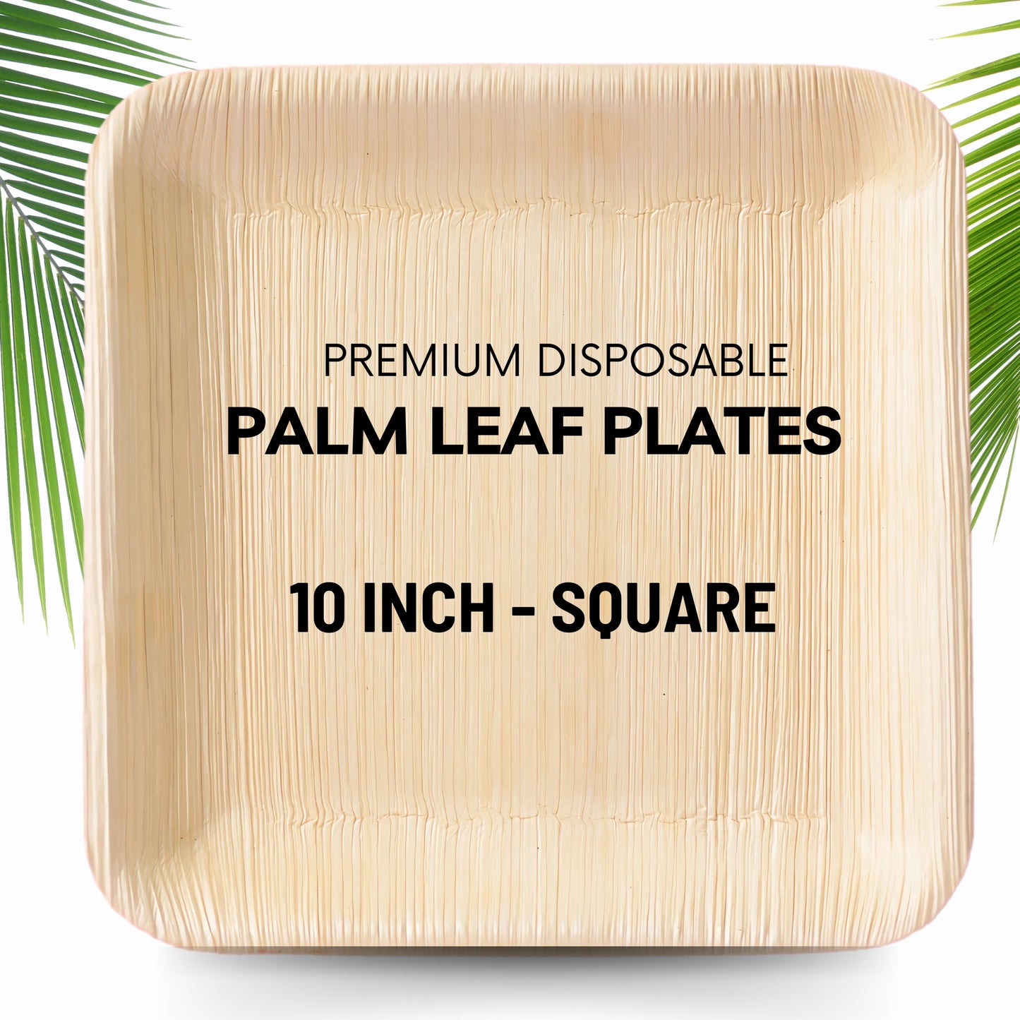 10' Square Palm Leaf Plate 200pc/Box