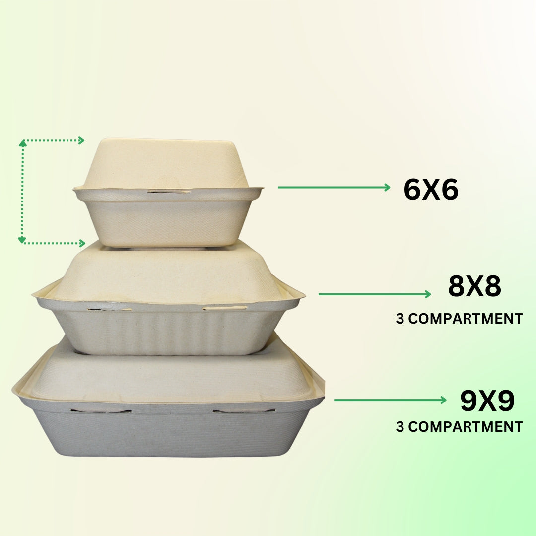 Biodegradable Clamshell Takeout Containers - Heavy Duty, 9x9 Divider (100 Pack)