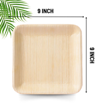 PLP-9S NATURAL PALM LEAF PLATES