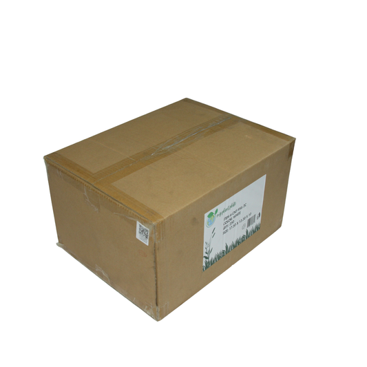 9x6 2 Sectional 250pcs/Box