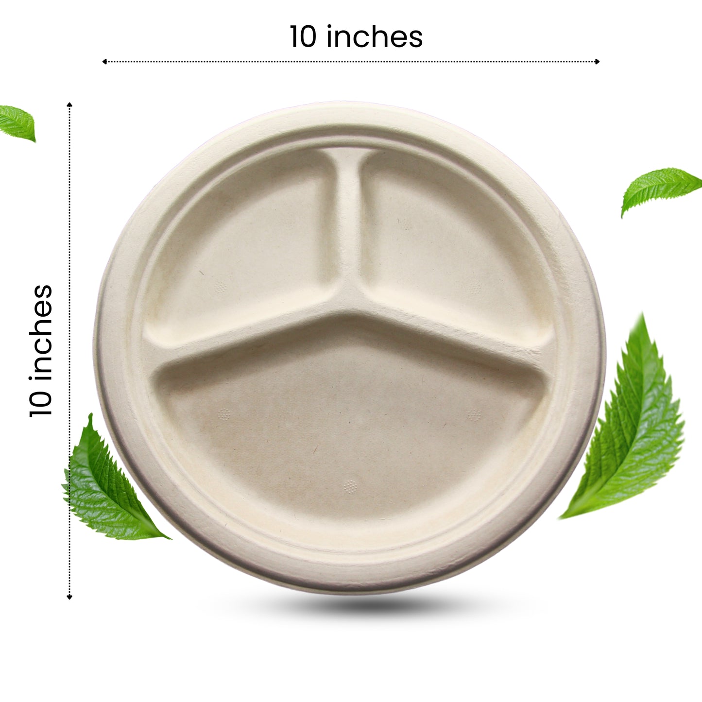 10 INCHES SEC PLATE - 100 Pack